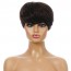 Buy Stylish and realistic short curly head cover in Vereeniging 2