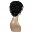 Buy Curly Wigs for Black Women Short Kinky Curly Wigs Nigeria 5
