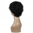 Buy Curly Wigs for Black Women Short Kinky Curly Wigs Nigeria 4