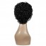 Buy Curly Wigs for Black Women Short Kinky Curly Wigs Nigeria 6