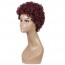 Buy Burgundy Color Short Curly Bob Wig Density Afro Kinky Fluffy Wig Welkom 2