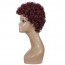 Buy Burgundy Color Short Curly Bob Wig Density Afro Kinky Fluffy Wig Welkom 3