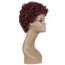 Buy Burgundy Color Short Curly Bob Wig Density Afro Kinky Fluffy Wig Welkom 4