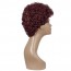 Buy Burgundy Color Short Curly Bob Wig Density Afro Kinky Fluffy Wig Welkom 5