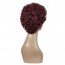 Buy Burgundy Color Short Curly Bob Wig Density Afro Kinky Fluffy Wig Welkom 6