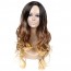 Long Wavy Ombre Brown Blonde Wave Natural Curls Heat Resistant Pietermaritzburg 2