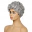 Buy Short Curly Silver Gray Pixie Fluffy Wig for Old Grandma Cosplay Soweto 4