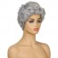 Buy Short Curly Silver Gray Pixie Fluffy Wig for Old Grandma Cosplay Soweto 3