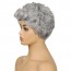 Buy Short Curly Silver Gray Pixie Fluffy Wig for Old Grandma Cosplay Soweto 6