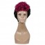 Shop Short Black and Red Wig Short Curly  Wigs Natural Short Hair Wig ZA