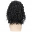 Black Long Big Bouffant Curly Wigs Synthetic Heat Resistant Hair For Sale 7