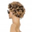 Mens Hair Wig Moustache Short Curly Halloween Wigs 4