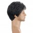 Black mixed Silver White Natural Straight Side Part Short Wig 4