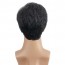 Black mixed Silver White Natural Straight Side Part Short Wig 6