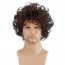Short Brown Curly Layered Wig Fluffy Wig for Male Guy 2