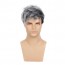Men Fashion Short Curly Silver Grey Root Black Synthetic Wigs 2