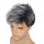Men Fashion Short Curly Silver Grey Root Black Synthetic Wigs 5