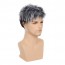 Men Fashion Short Curly Silver Grey Root Black Synthetic Wigs 4