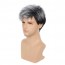 Men Fashion Short Curly Silver Grey Root Black Synthetic Wigs 3