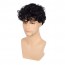 Short Curly Mens Black Wig Fluffy Synthetic Wig for Male Guy 4