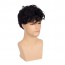 Short Curly Mens Black Wig Fluffy Synthetic Wig for Male Guy 5