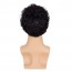 Short Curly Mens Black Wig Fluffy Synthetic Wig for Male Guy 6