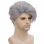 Silver Grey Wig Natural Layered Heat Resistant Hair for Male Guy 4