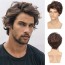 Mens Wigs Brown Short Wavy Shaggy Cosplay Halloween Costume 2
