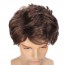 Mens Wigs Brown Short Wavy Shaggy Cosplay Halloween Costume 4